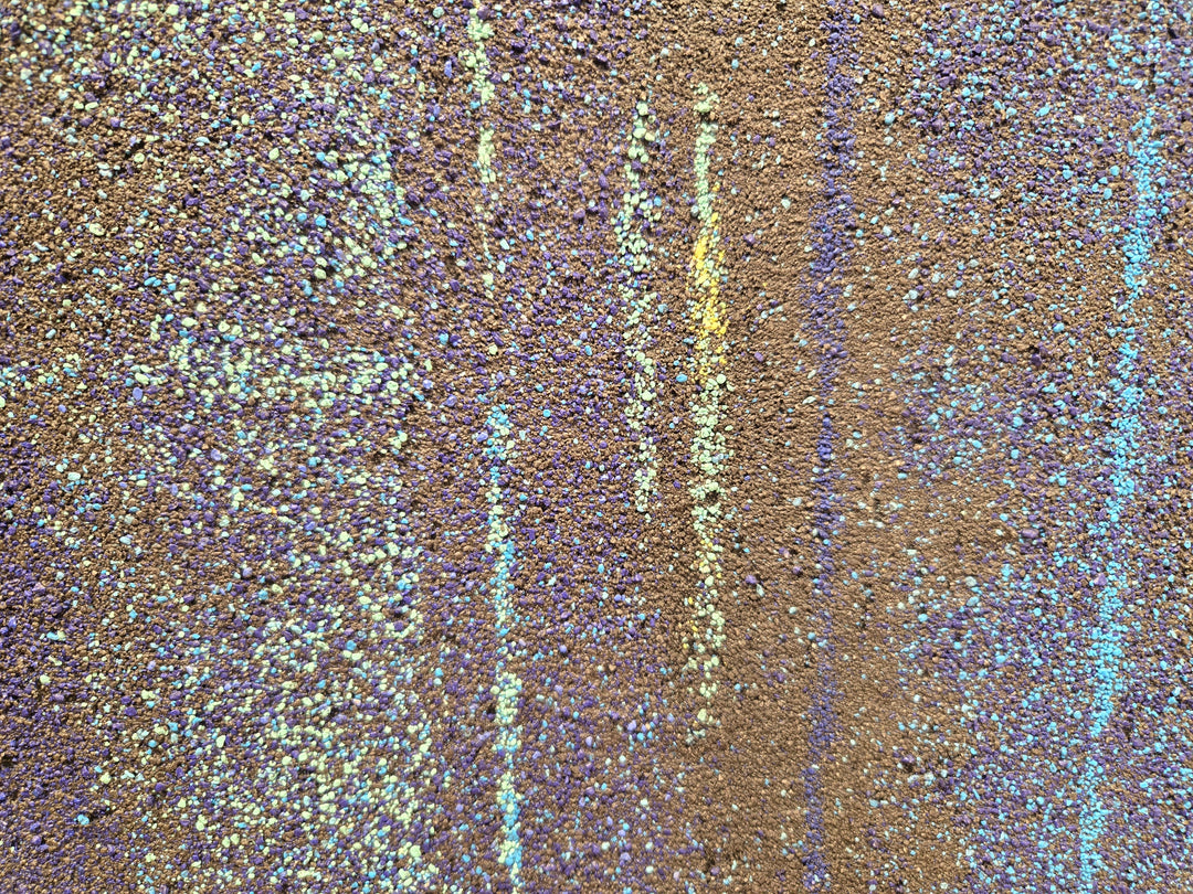 12229 kHz, 2023