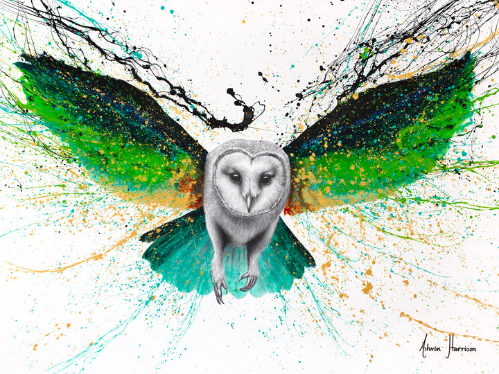 Aurora Night Owl