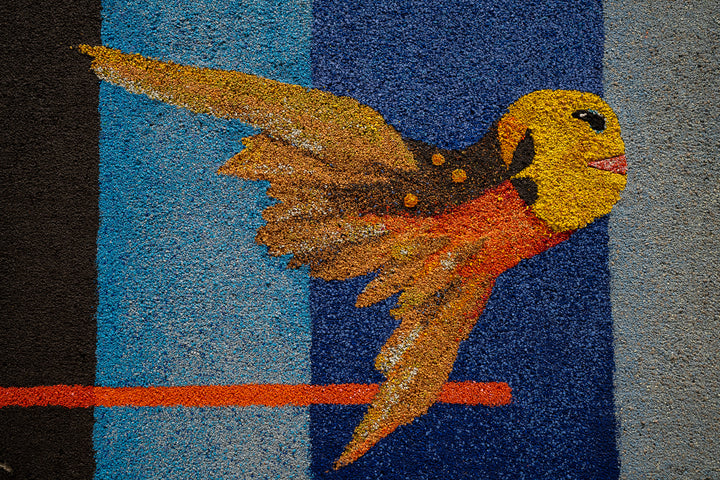 Avian Rheostat, 2023