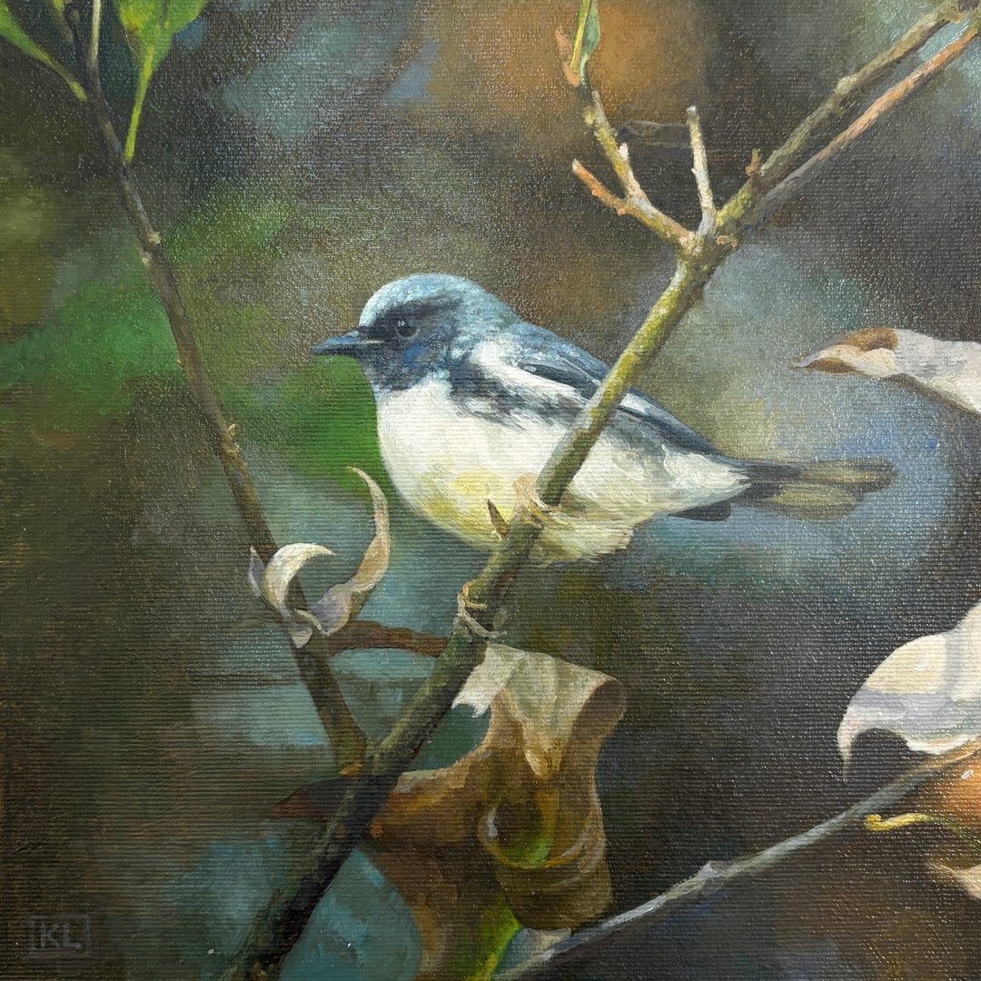 Photorealistic oil painting of a grey and white bird on a branch, shades of grey, blue and green in the background