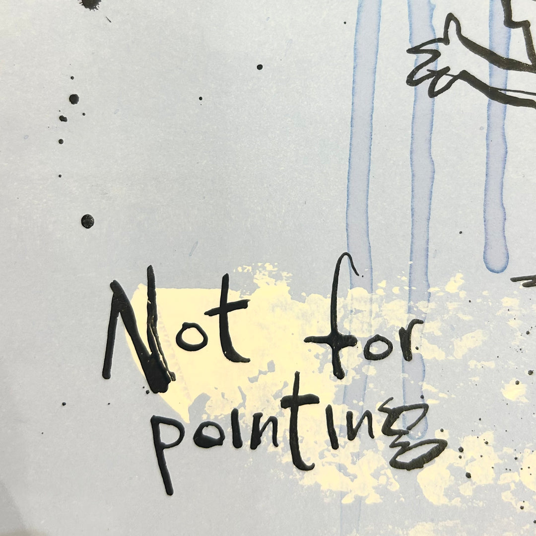 Not For Pointing