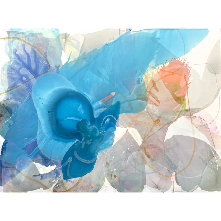Iris 12