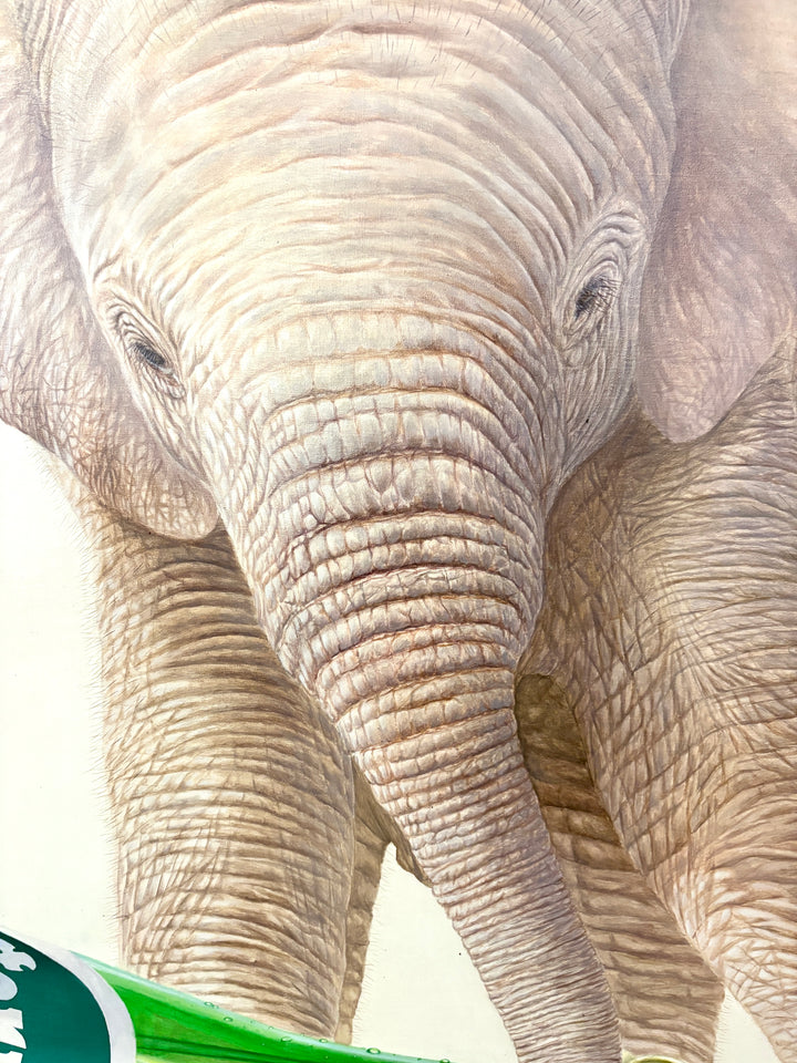 Sparkling Waterhole