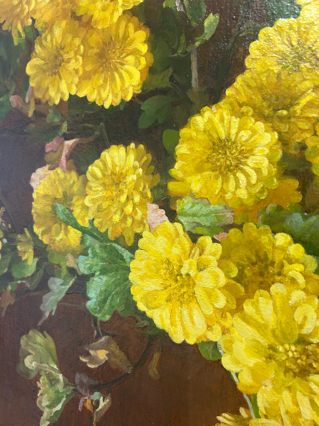 Yellow Chrysanthemums